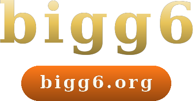 bigg6 logo
